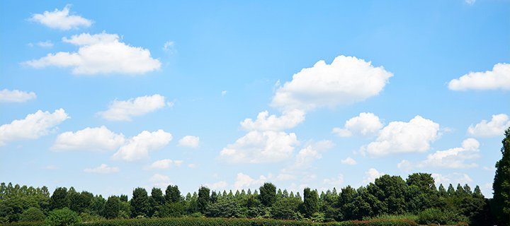 風景